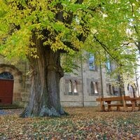 Kirche mit Anger in Abterode