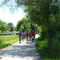 Auf dem Aachradweg bei Rielasingen-Worblingen