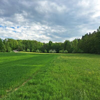 Obstplantagen im Renchtal