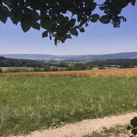 Aussicht an der Mühlsberg-Runde