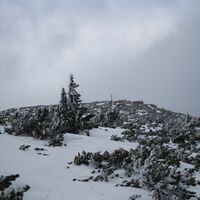 Auf dem Raxplateau