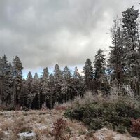 Schöne Stimmung auf einem der wenigen Lichtungen