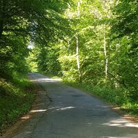 Auf dem Weg nach Bosseborn