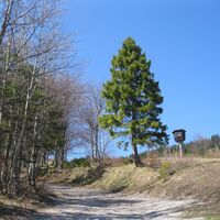 Türnitzer Höger
