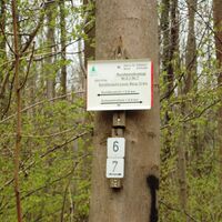 Salzgitter-Bad, Waldeingang Wanderweg 7 zum Schäferstuhl