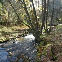 Rückweg am Staffelbach zum Kurpark