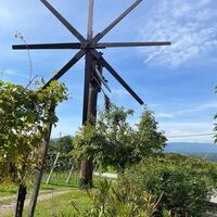 Klapotetz im Weingarten