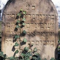 Der Jüdische Friedhof Schwarzrheindorf 