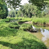Am Weg nach Gosdorf