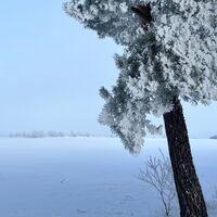 Winterlandschaft auf dem NORDPFAD