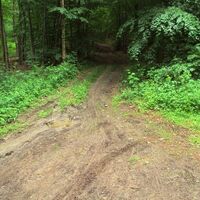 Salzgitter-Gebhardshagen, Wanderwege 17 und 18 Aufstieg zum Kammweg