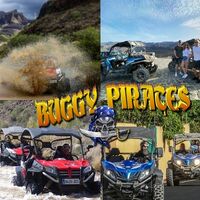 Buggy Safari