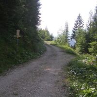 Weggabelung St. Ulrich-St. Adolari geradeaus.JPG