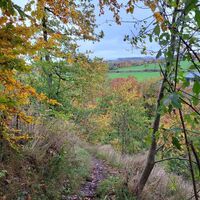 Kleine, naturbelassene Pfade im Weddelberg