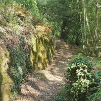 14.6 km Bemooster Felsen