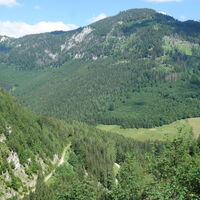 Ausblick von der Forststraße