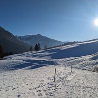 Vigo - Larcioné ©Archivio APT Val di Fassa