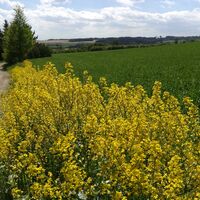 Von der Remptendorfer Bucht nach Isabellengrün
