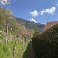 Auf diesem Weglein weiter Richtung Bahnhof