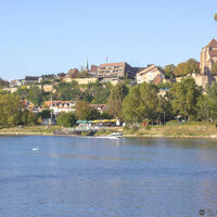Ile du Rhin - Vogelgrun