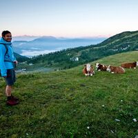 Wanderer am Dachstein 