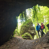 ET-2017-317-Schneifel-Pfad, Eishöhlen Birresborn © Eifel Tourismus GmbH, Dominik Ketz