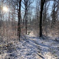 Joggingrunde auf dem winterlichen Otterbachbruch Wanderweg