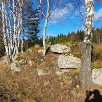 11.0 km Steine vor Roßbruck