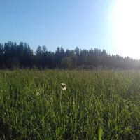 Wiese im Günztal