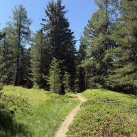 A Woitat hier dahinzuwandeln