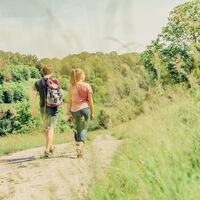 Löwensteiner Bergtouren | Geführte Wanderungen im Naturpark Schwäbisch-Fränkischer Wald | HeilbronnerLand