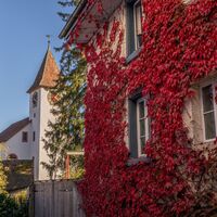 Kirche Trasadingen