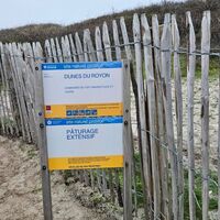 Rando Düne du Royon