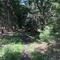 Unterhalb der Tellkoppe