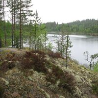 See Pitkäjärvi südlich des erratischen Blocks Kummakivi