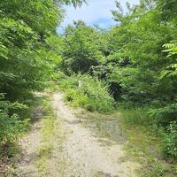 30.2 km Rechts in Trail zu den 5 Brücken