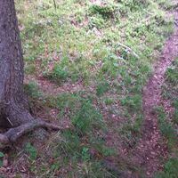 Hier gingen wir links zum Gipfel
