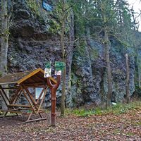Rennsteigleiter Rastplatz am Salzmannfelsen