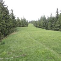 Unterberg Ostseite