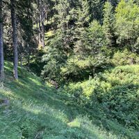 Hier die einzige kleine 'Schlüsselstelle', ein kleiner Einschnitt mit Bachquerung