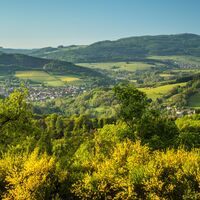 Naturschutzgebiet Wartekopf - Weitblicke