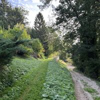 .. und weiter auf der Trasse. Das 'Befugten'-Taferl hinter dem Baum hat der Berichterstatter übersehen ..