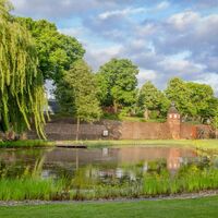 Froschteich an der historischen Stadtmauer