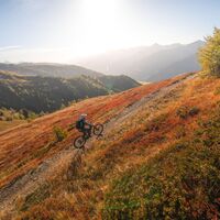ebike-golzentipp-bergwiesentrail-herbst23-c-peter-maier-16_TVB Osttirol_Peter Maier_Obertilliach.jpg