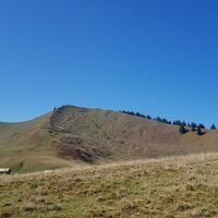 Seekarkreuz und Rauhalmen