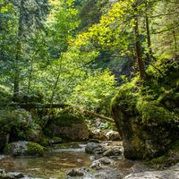 Wasser in der Reichenbachklamm