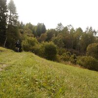 Wiesen bei Malga Zanga