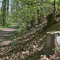 Wegstein-Rosenau