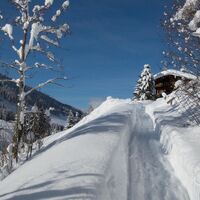 Auf dem mittleren Höhenweg nach Alpbach