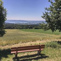 Aussicht am Mühlsberg